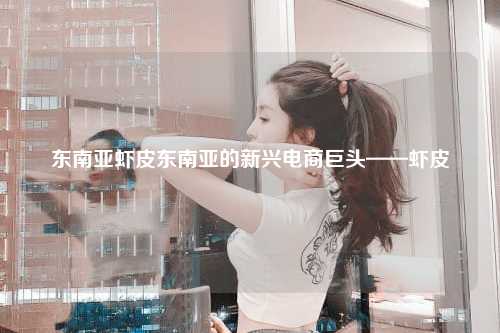 跨境电商的新星